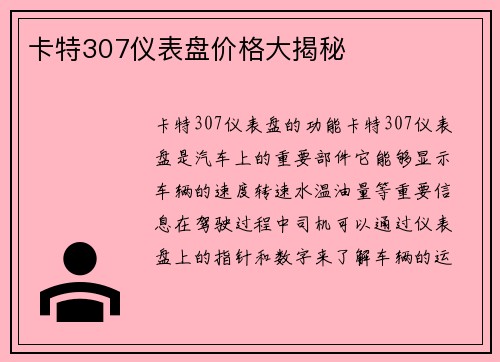 卡特307仪表盘价格大揭秘