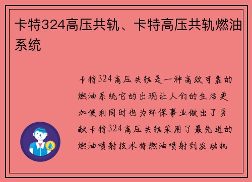 卡特324高压共轨、卡特高压共轨燃油系统