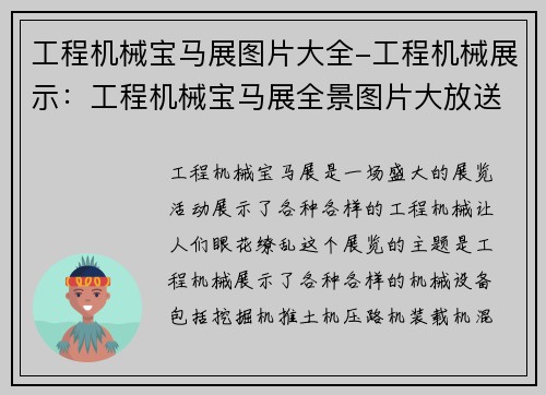 工程机械宝马展图片大全-工程机械展示：工程机械宝马展全景图片大放送